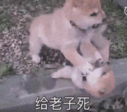 林高远恋情,公布,女方为年长,LiveScore,即时足球比分,赛程与比赛结果