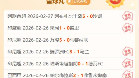 印尼荣耀：赖因德斯的自豪征程