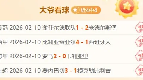 怪物猎人：荒野周年纪念：持续面临负面评价挑战
